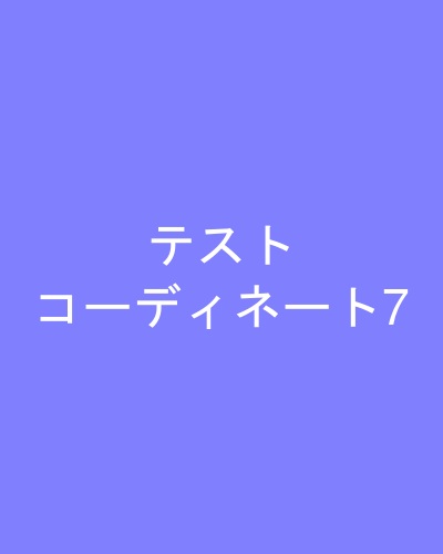 テストコーディネート7