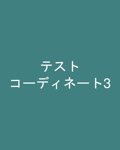 テストコーディネート3