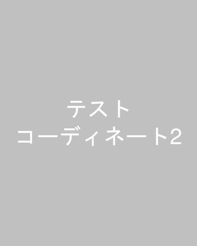 テストコーディネート2
