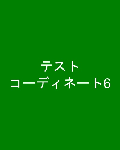 テストコーディネート6