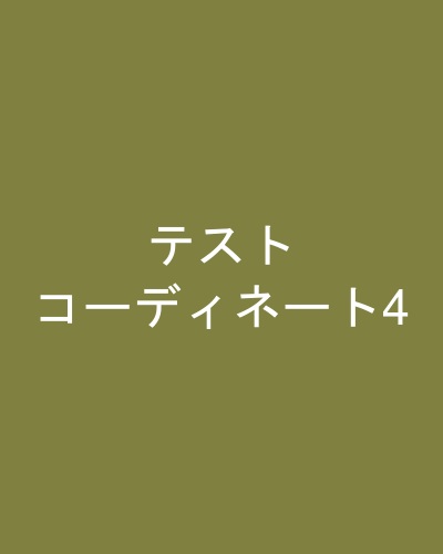 テストコーディネート4