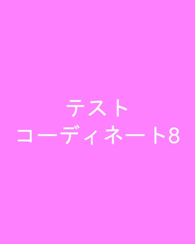 テストコーディネート8