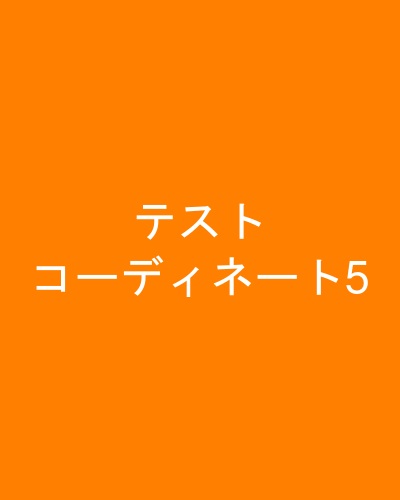 テストコーディネート5