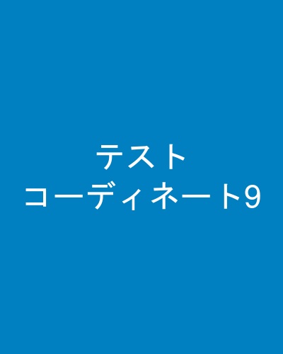 テストコーディネート9